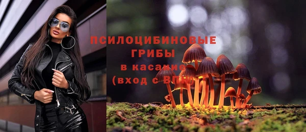 скорость Алексеевка