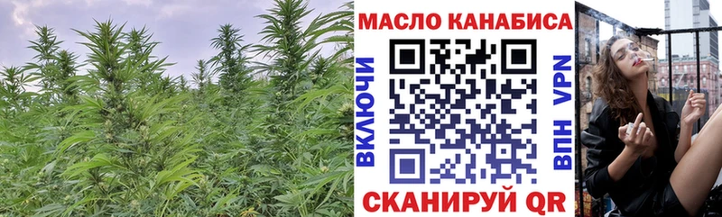 ТГК гашишное масло  кракен вход  Железногорск-Илимский 