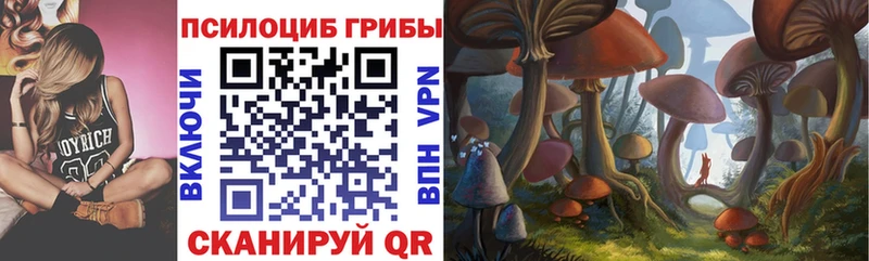 Псилоцибиновые грибы Psilocybine cubensis купить Железногорск-Илимский